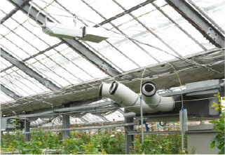 杉本バラ園の施設 フォトギャラリー