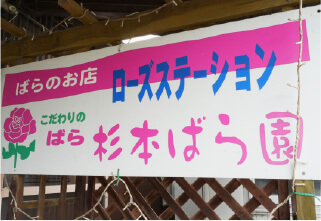 杉本バラ園の施設 フォトギャラリー