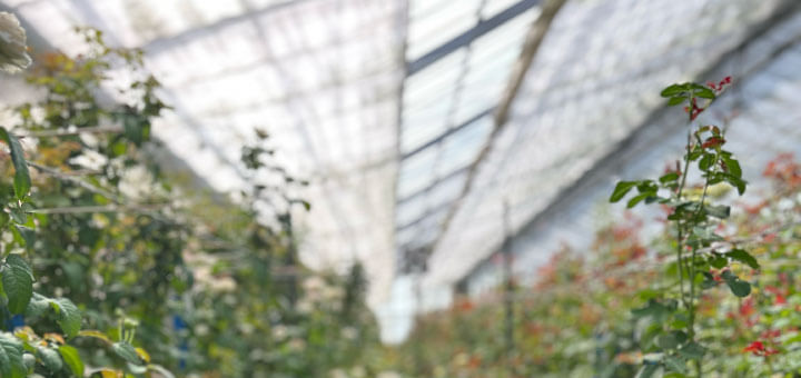 当園へのアクセス